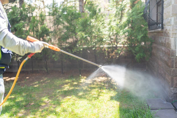Best Wasp Removal Services  in Merion Station, PA