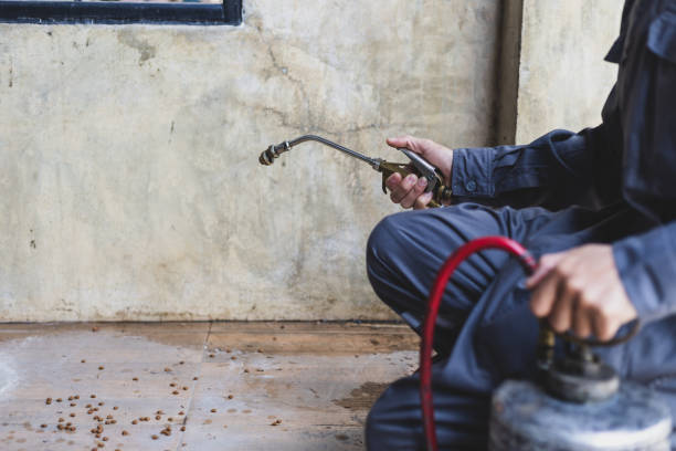 Best Termite Control Services  in Merion Station, PA